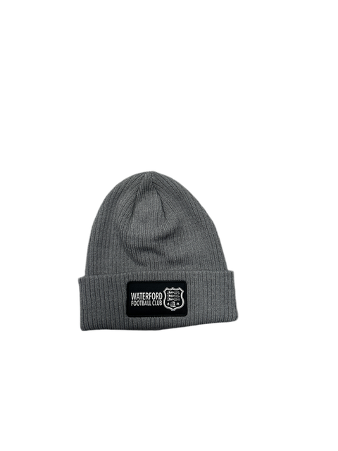 Grey Beanie 2025